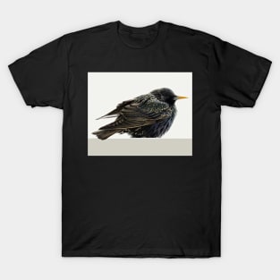 European Starling No.2 T-Shirt